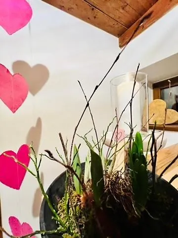 Bed and Breakfast Hochwart Hof Bed & Breakfast Зальбах-Хинтерглемм Австрия